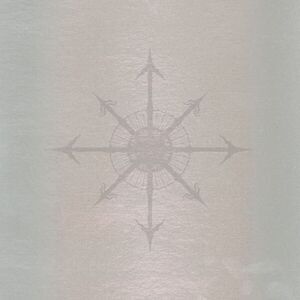 Through The Looking Glass